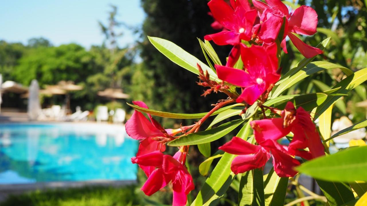 Joya Park Hotel Zlate písky Exteriér fotografie